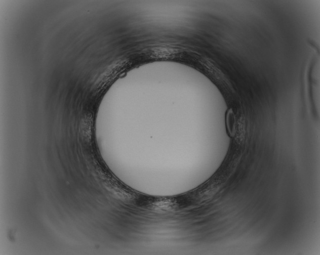 X0000101210505200807181421