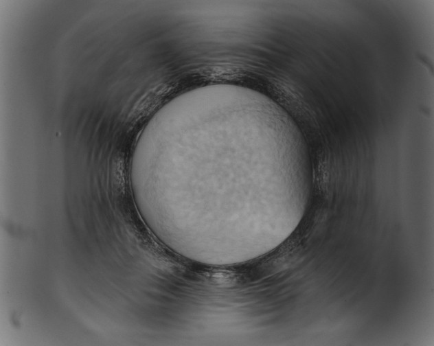 X0000101210506200807181421