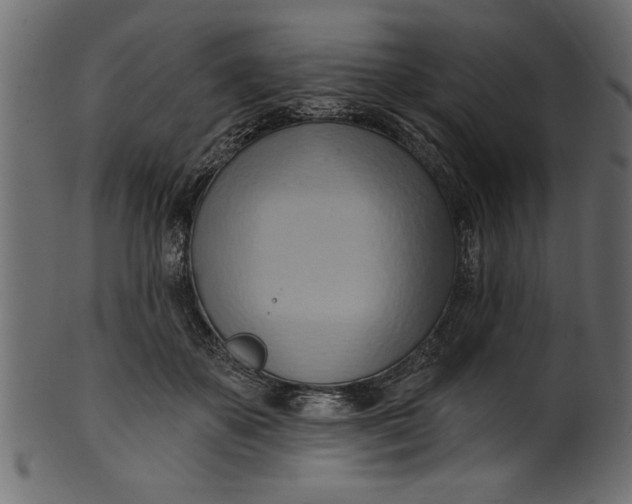 X0000101210507200807181421