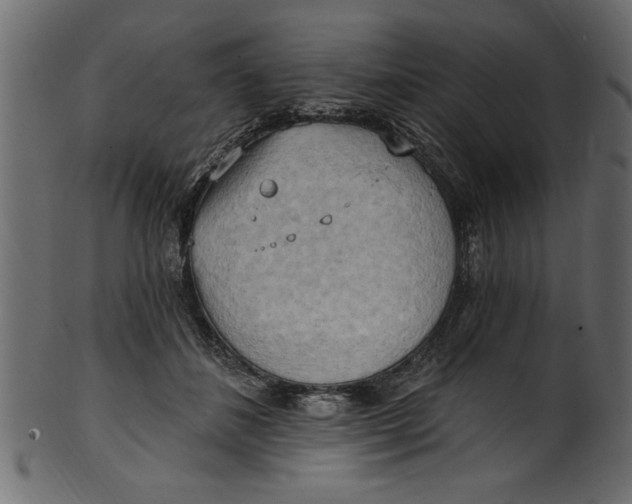 X0000101210508200807181421