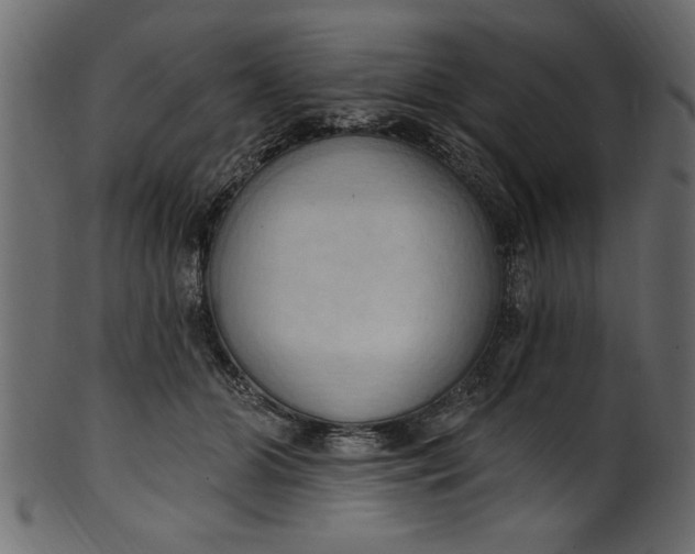 X0000101210510200807181421