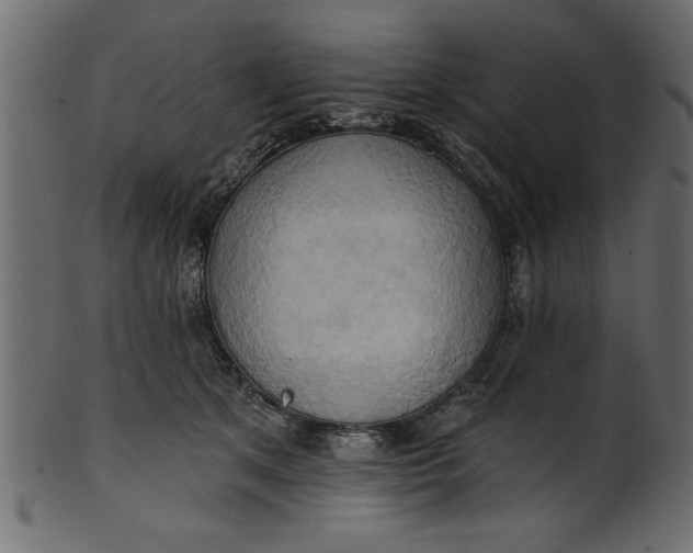 X0000101210513200807181421