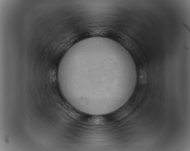 X0000101210514200807181421