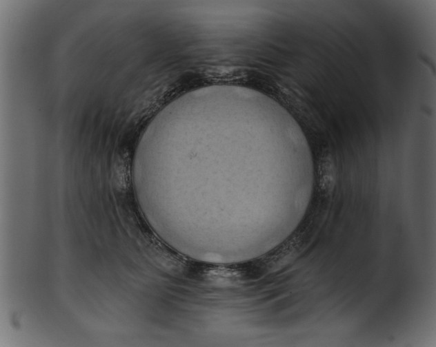 X0000101210515200807181421