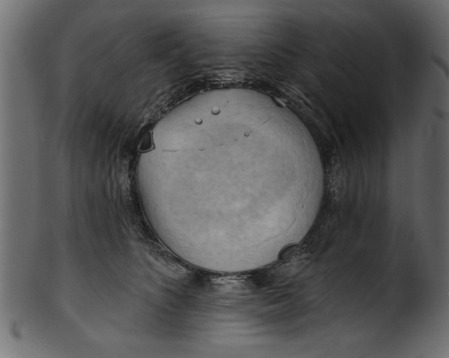 X0000101210516200807181421