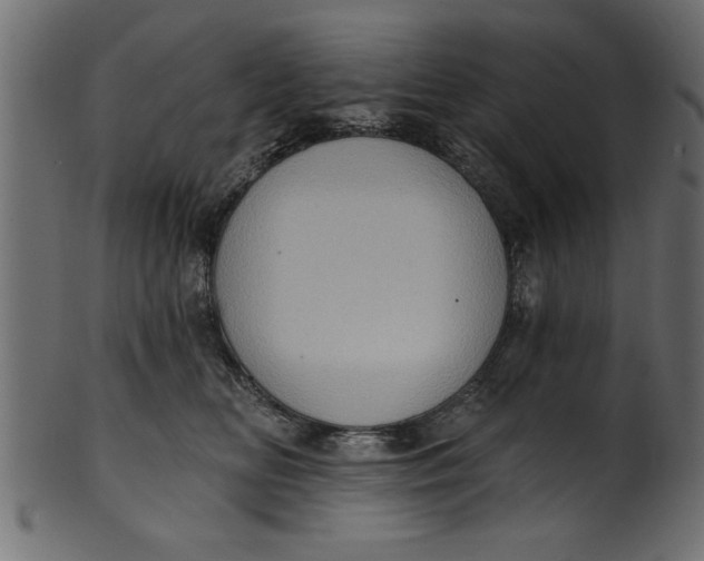 X0000101210518200807181421