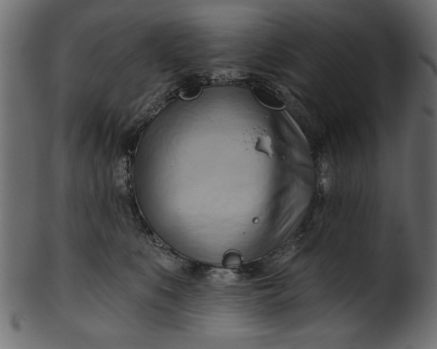 X0000101210519200807181421