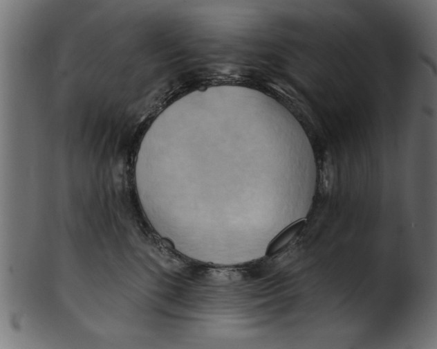 X0000101210520200807181421