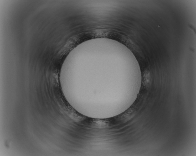 X0000101210522200807181421