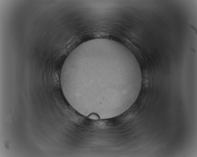 X0000101210523200807181421