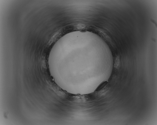 X0000101210524200807181421