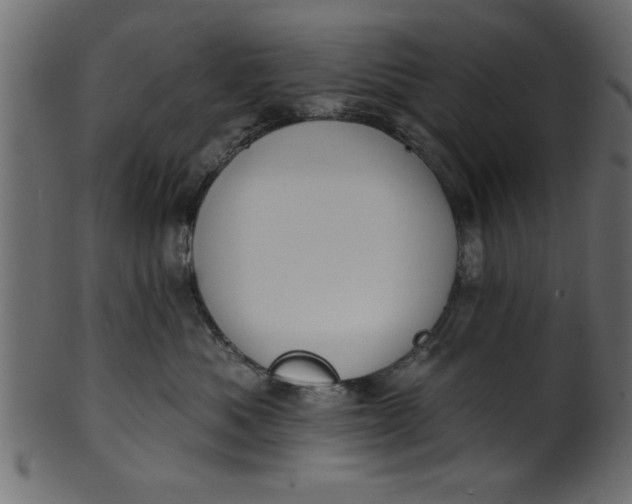 X0000101210525200807181421