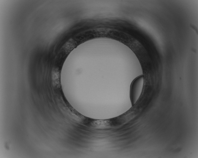 X0000101210526200807181421