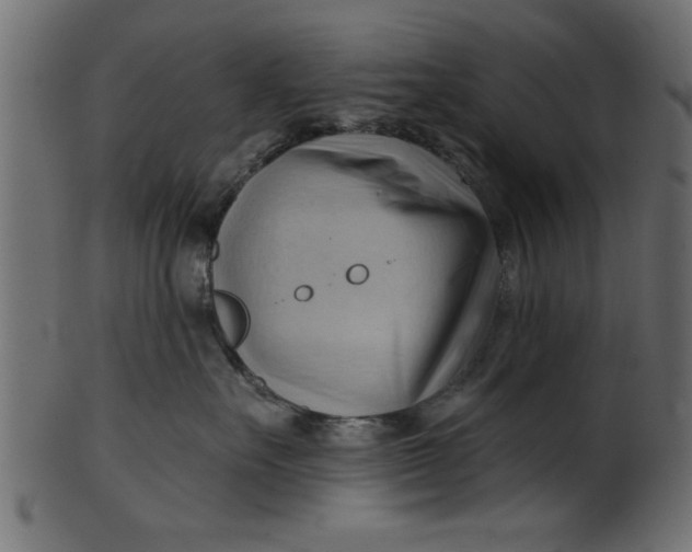 X0000101210527200807181421