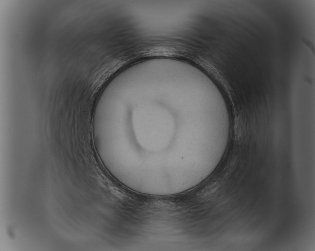 X0000101210529200807181420