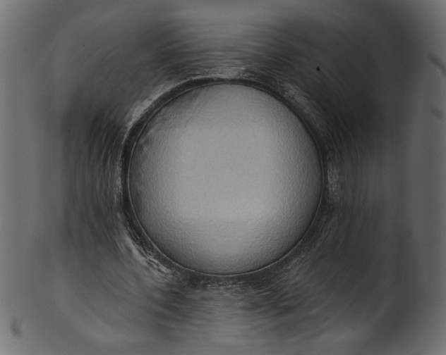 X0000101210532200807181420