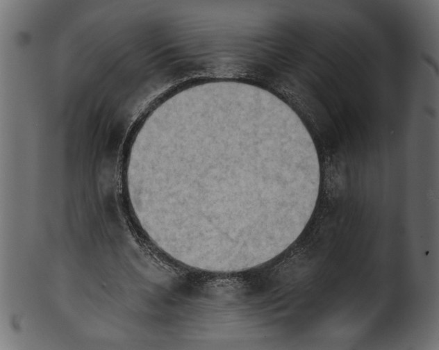 X0000101210536200807181420