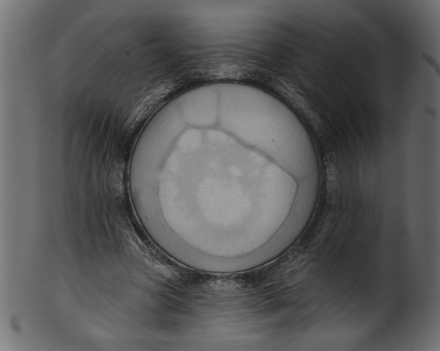 X0000101210537200807181420