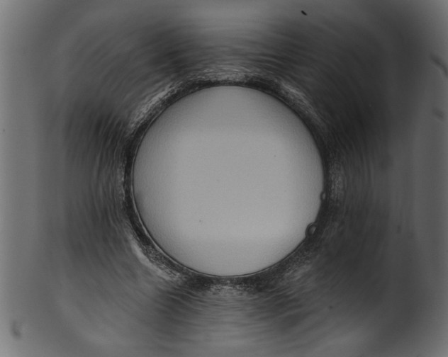 X0000101210538200807181420