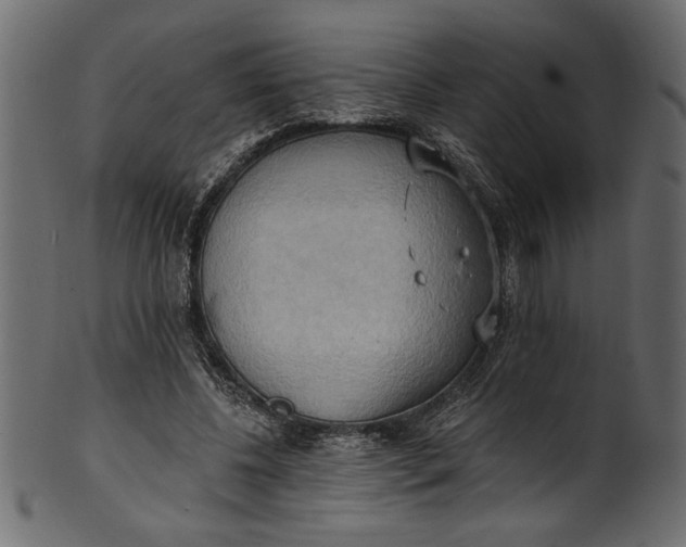 X0000101210540200807181420