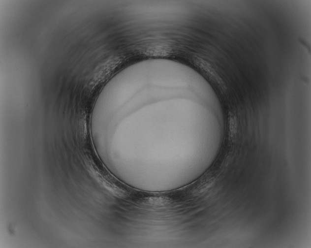 X0000101210541200807181420