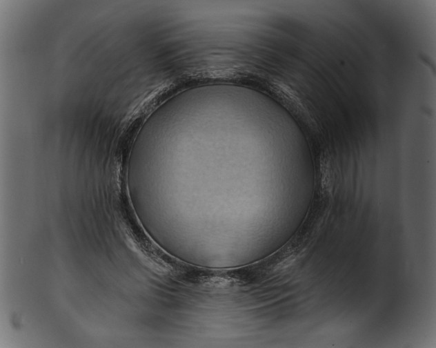 X0000101210542200807181420