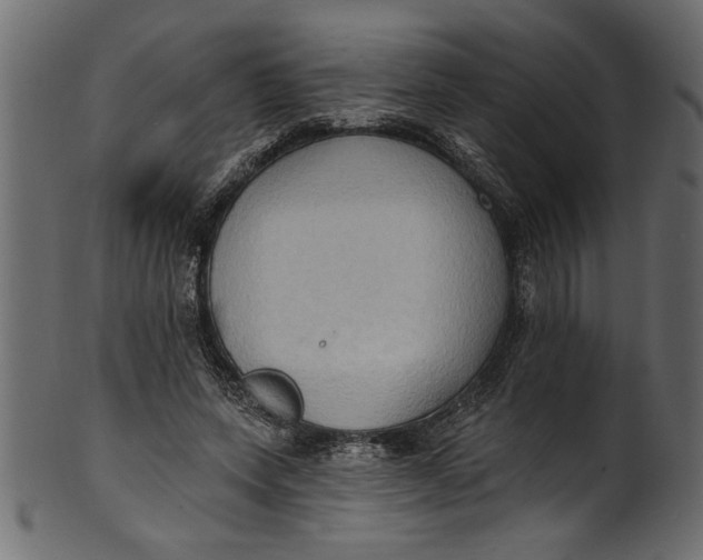 X0000101210543200807181420