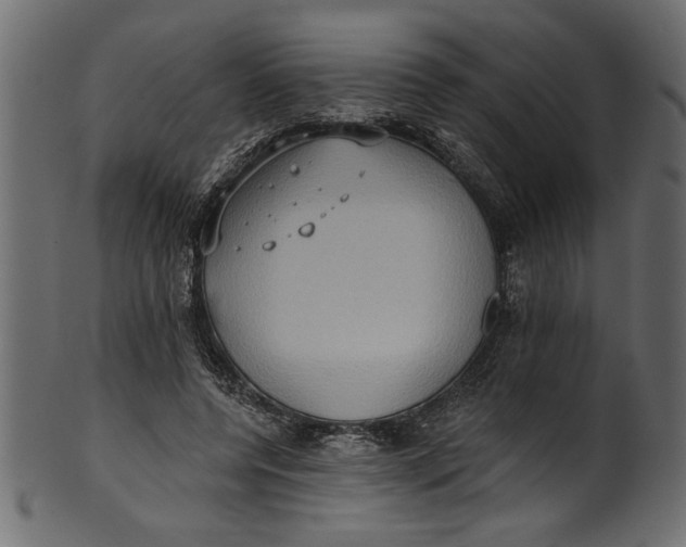 X0000101210544200807181420