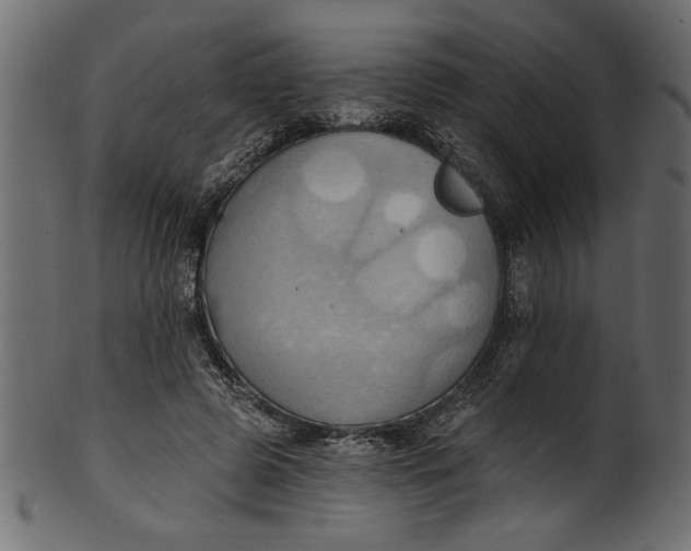 X0000101210545200807181420