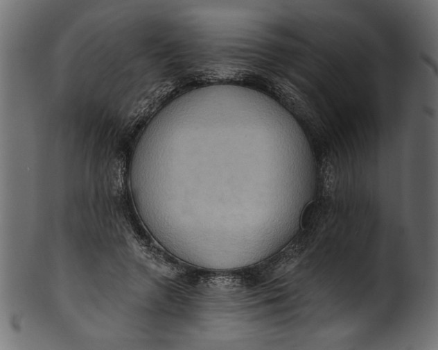 X0000101210546200807181420