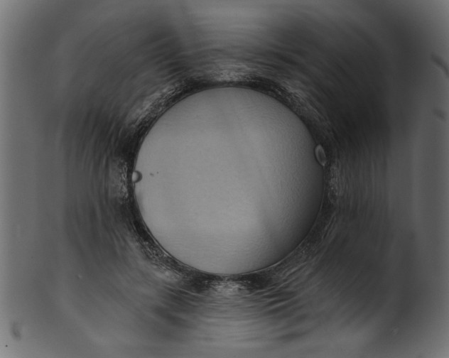 X0000101210547200807181420