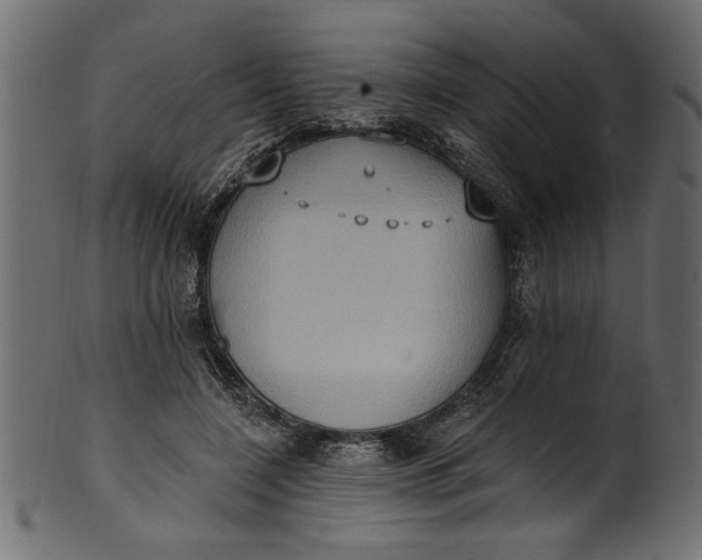 X0000101210548200807181420