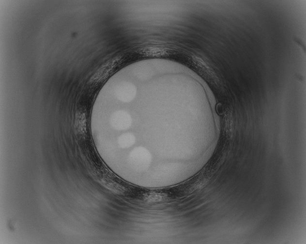 X0000101210549200807181420