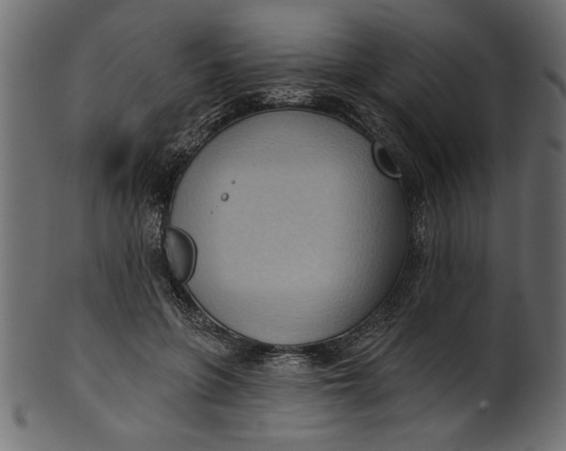 X0000101210551200807181420