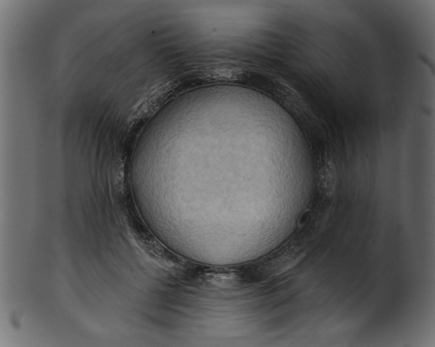 X0000101210552200807181420