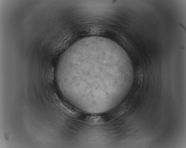 X0000101210554200807181420