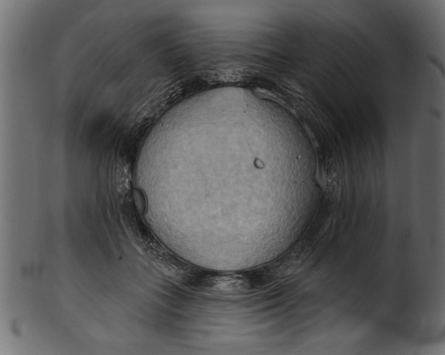 X0000101210555200807181420