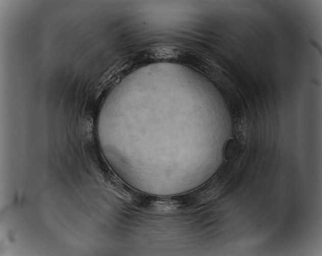 X0000101210556200807181420