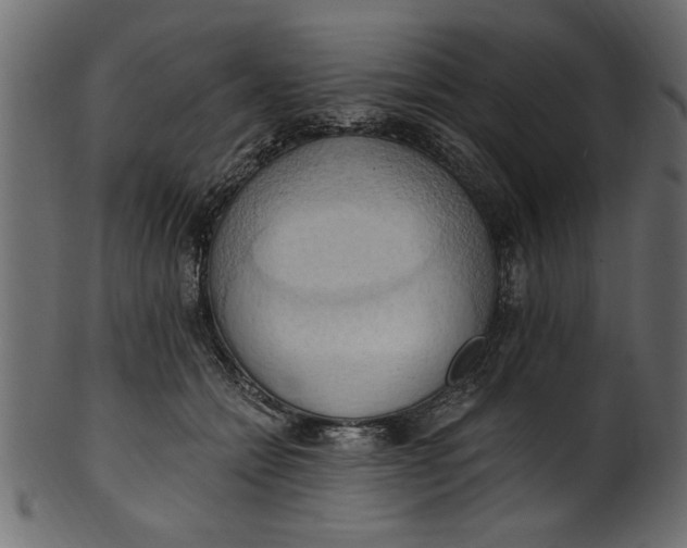 X0000101210558200807181420