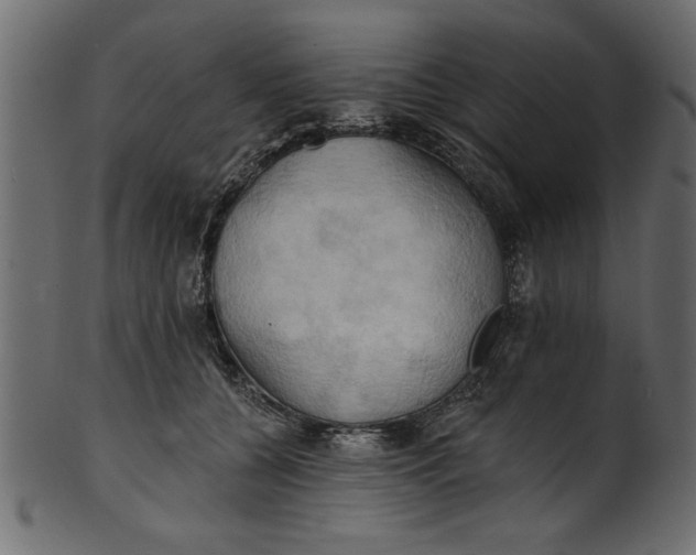 X0000101210560200807181420