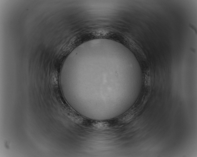 X0000101210561200807181420