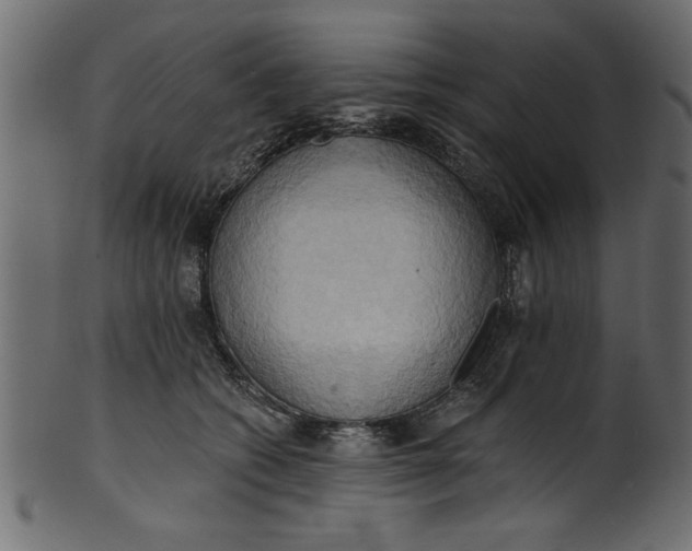 X0000101210562200807181421