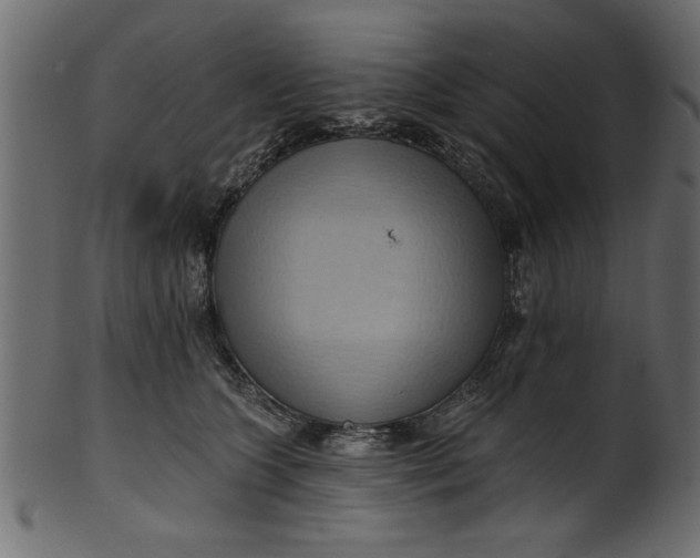 X0000101210563200807181421