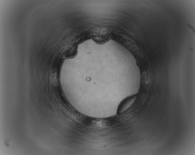 X0000101210564200807181421