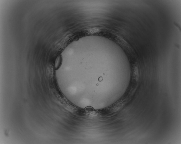 X0000101210565200807181421