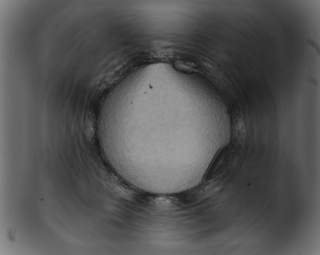 X0000101210566200807181421