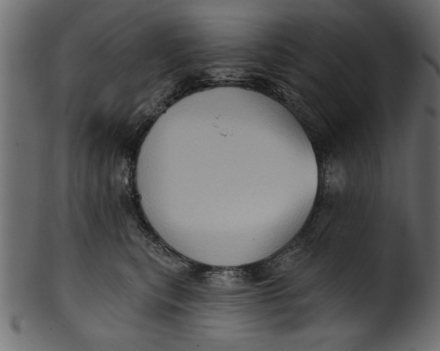 X0000101210567200807181421