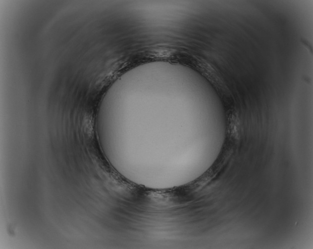 X0000101210568200807181421