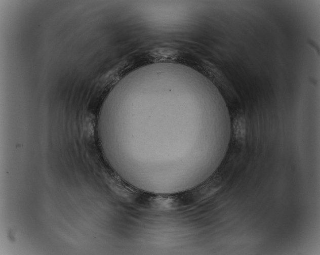 X0000101210570200807181421