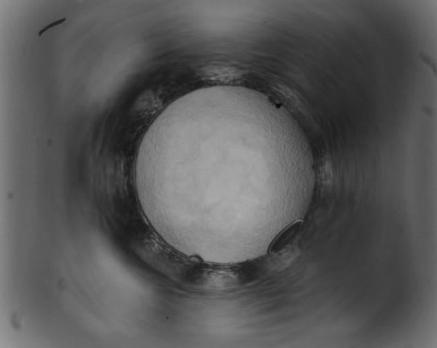 X0000101210572200807181421